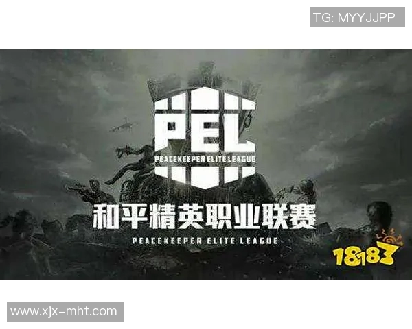 和平精英战术FPX的全方位压制体系与战术解析探讨